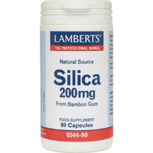 Treatment-Health Lamberts – Silica 200mg 90caps