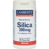Lamberts - Silica 200mg για Υγιές Δέρμα 90caps