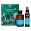 Apivita - Promo Hyaluronic Hydra Με Σαμπουάν Ενυδάτωσης 250ml & Μαλλιών Ενυδάτωσης Χωρίς Ξέβγαλμα 100ml